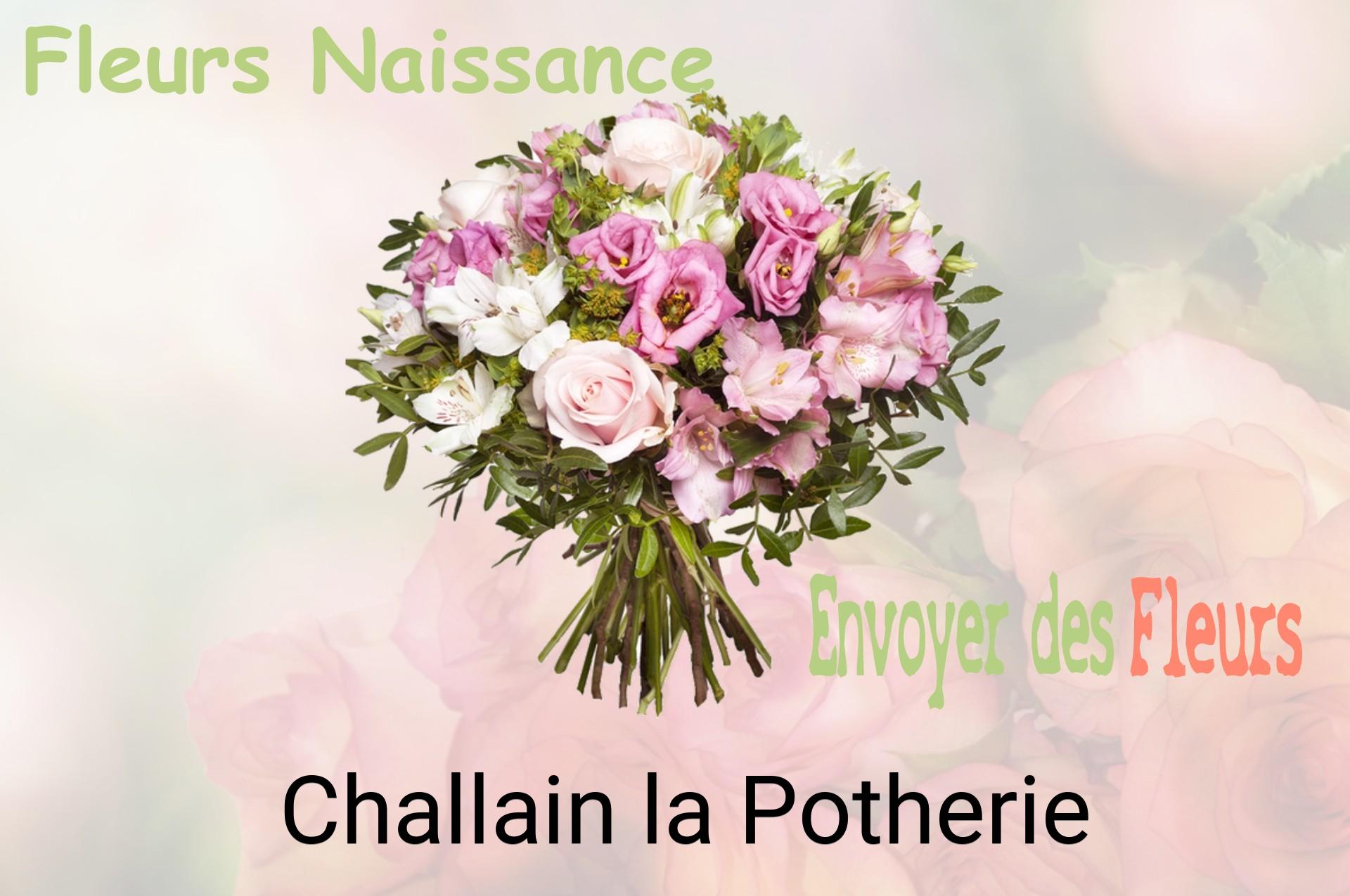 Bouquet de fleurs de naissance livré à Challain-la-Potherie